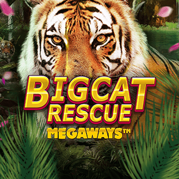 Big Cat Rescue Megaways